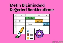 Metin Biçimindeki Değerleri Renklendirme