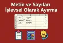 Metin ve Sayıları İşlevsel Olarak Ayırma